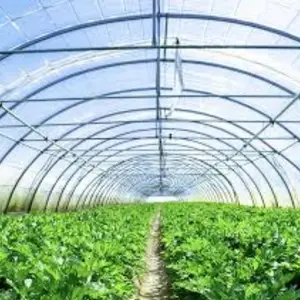 Agricultural Films